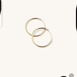Elegant Gold Hoop Earrings